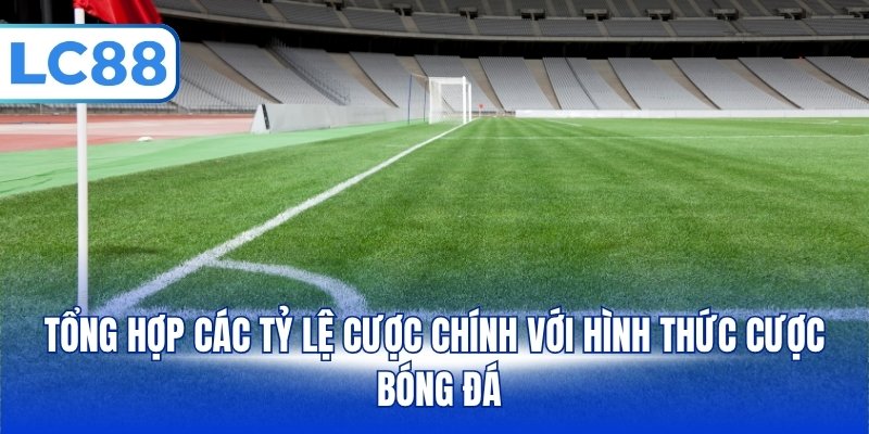 Tổng hợp các tỷ lệ cược chính với hình thức cược bóng đá